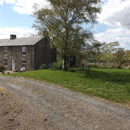 Hillis Close Farm Cottage Haltwhistle Kültér fotó